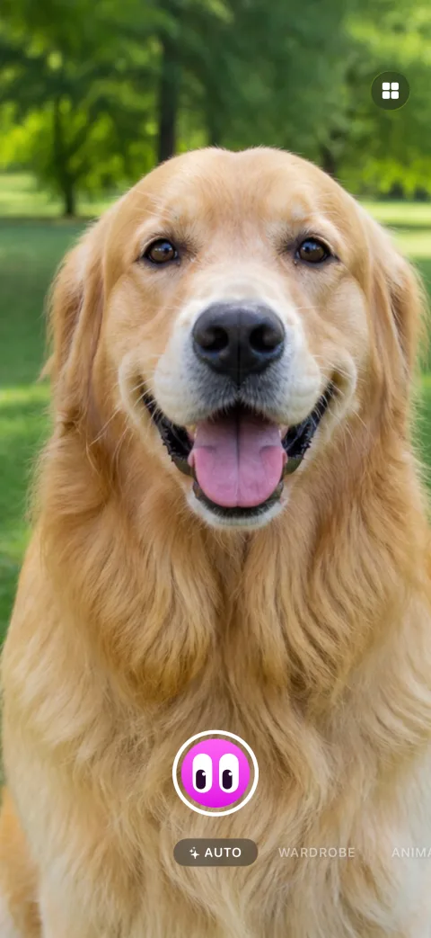 Loot camera screen pointed at a golden retriever